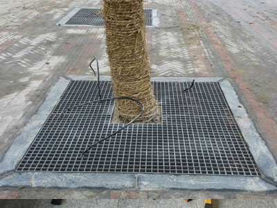 1574219187192013775.jpg c26b32ca7aupqpjd.jpg